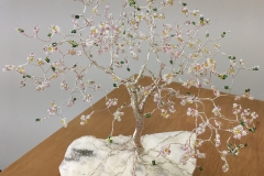 Myers-Spring-Blossom