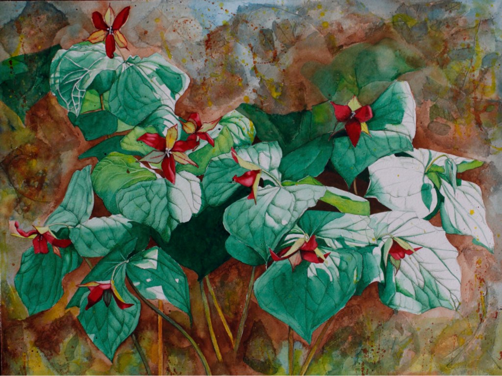 Art and Earth Exhibit Awards